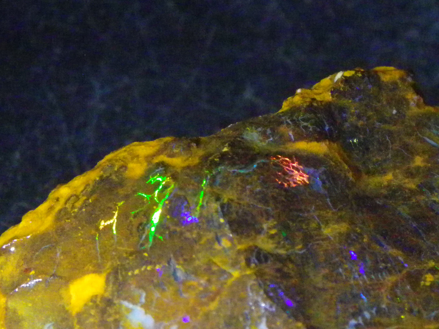 3 Nice Rough Matrix Opals 525.5cts Opalton Bright Green/Blue/Orange Fires