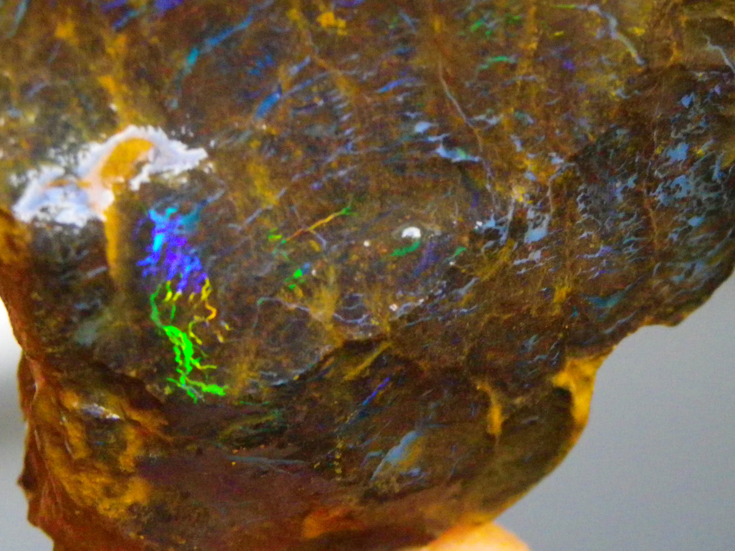 3 Nice Rough Matrix Opals 525.5cts Opalton Bright Green/Blue/Orange Fires