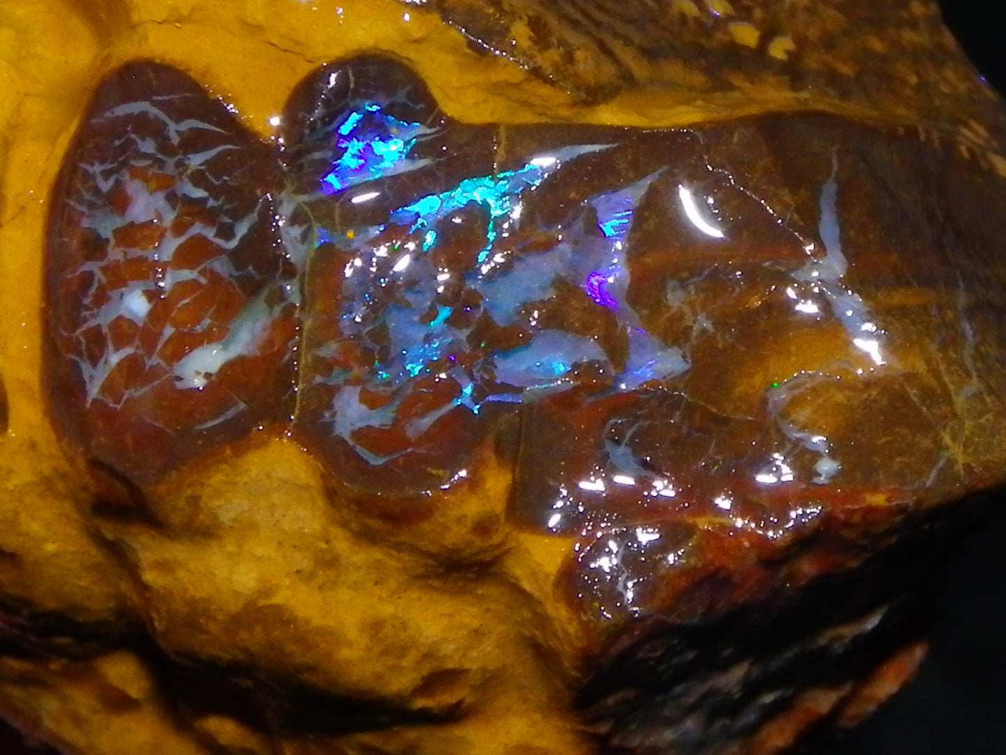 3 Nice Rough Matrix Opals 525.5cts Opalton Bright Green/Blue/Orange Fires