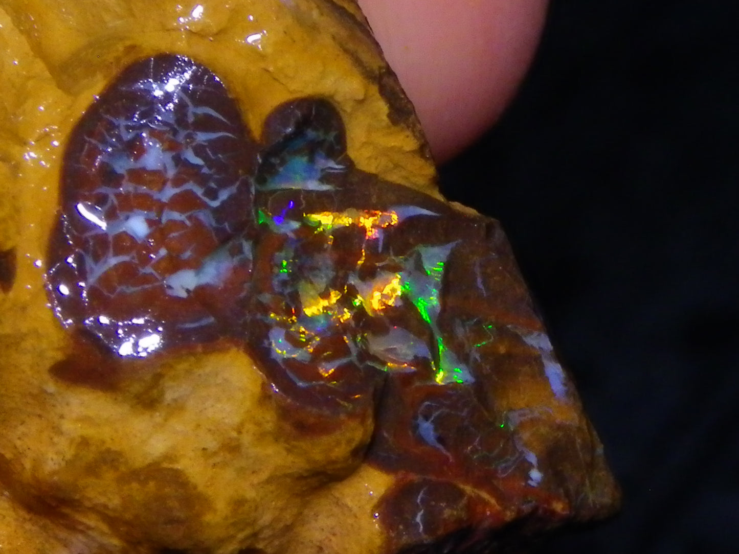 3 Nice Rough Matrix Opals 525.5cts Opalton Bright Green/Blue/Orange Fires
