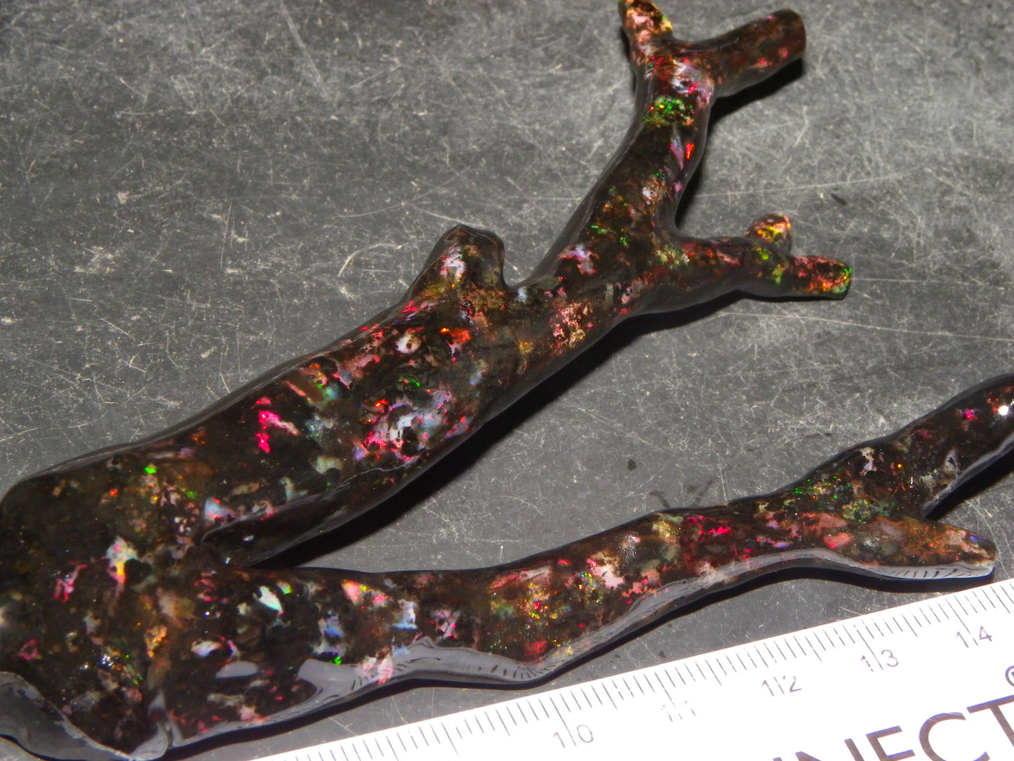 Nice Quality Polished Indonesian Branch/Fossil Opal Specimen 166cts Red Fires :)