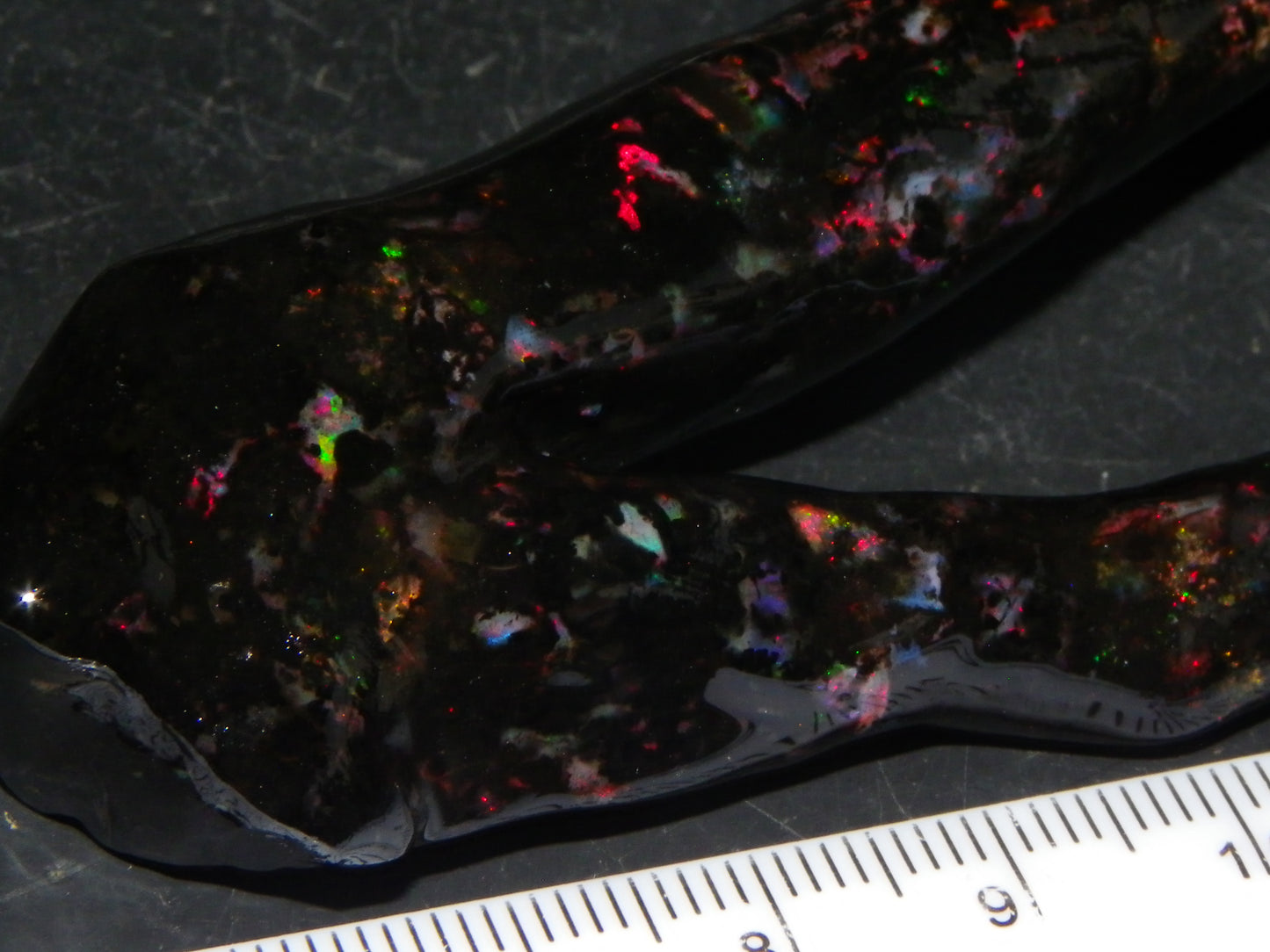 Nice Quality Polished Indonesian Branch/Fossil Opal Specimen 166cts Red Fires :)