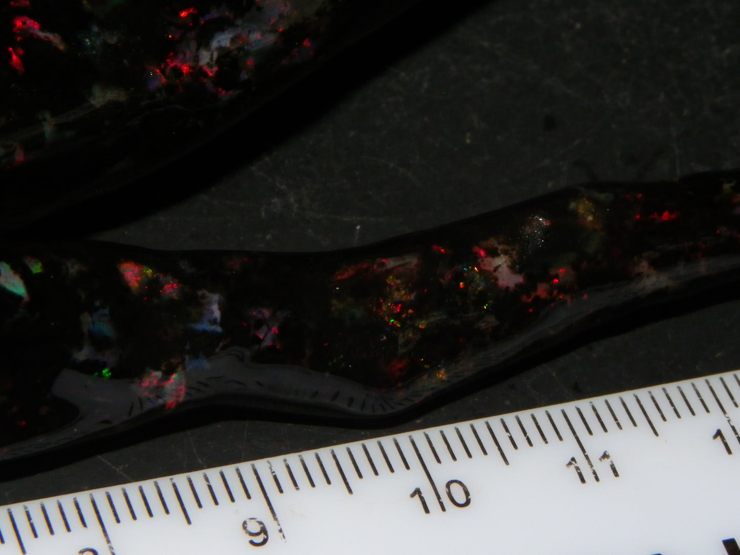 Nice Quality Polished Indonesian Branch/Fossil Opal Specimen 166cts Red Fires :)