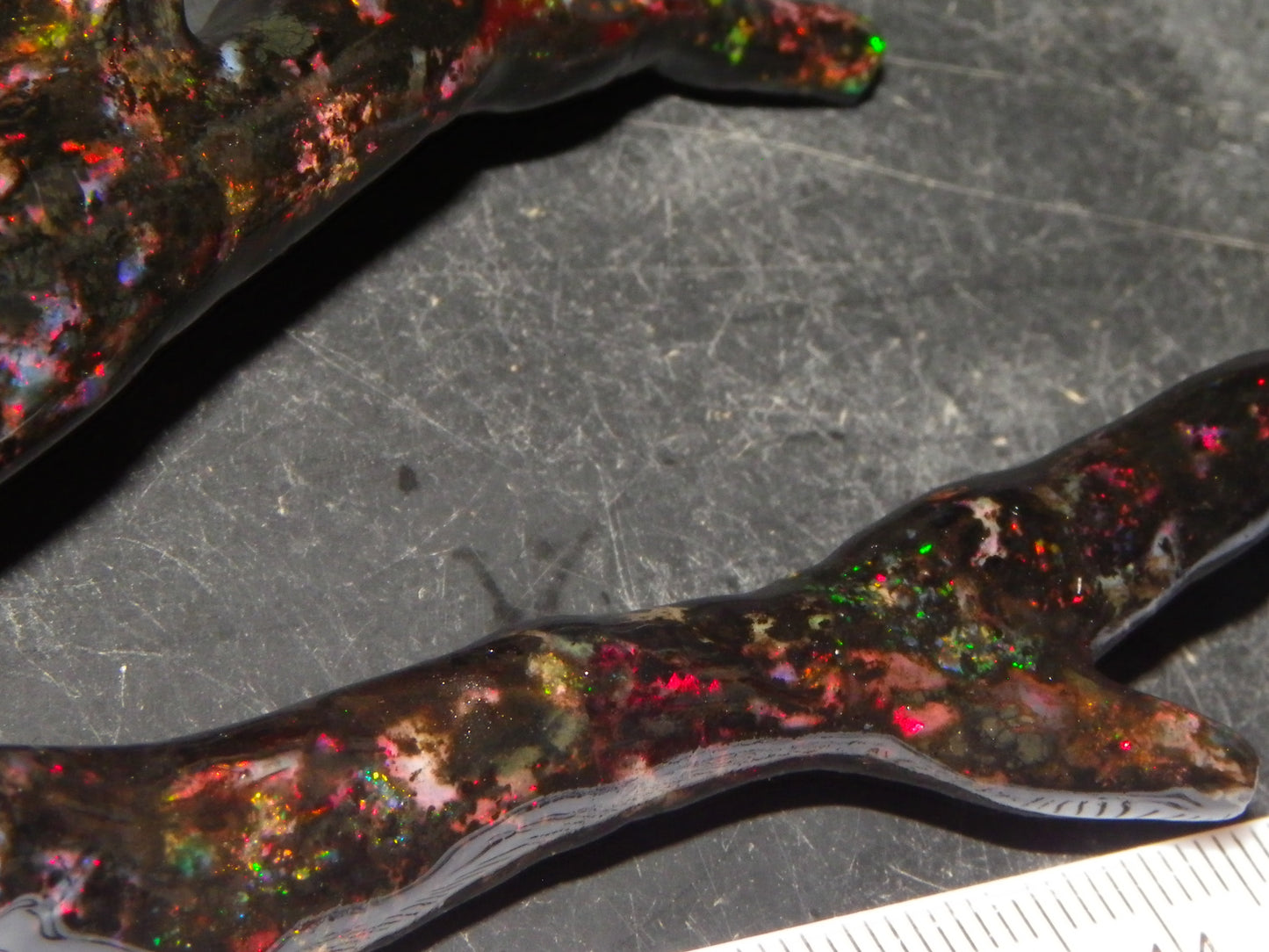 Nice Quality Polished Indonesian Branch/Fossil Opal Specimen 166cts Red Fires :)