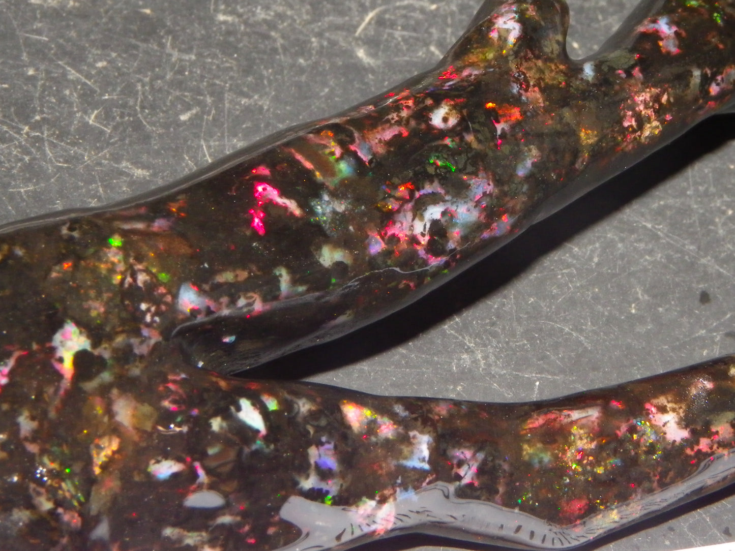 Nice Quality Polished Indonesian Branch/Fossil Opal Specimen 166cts Red Fires :)