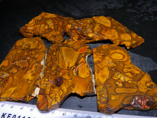 5 Matching Sliced/Rough Koroit Opals Set 2224cts Some Fires. Fossil/Pods Nuts