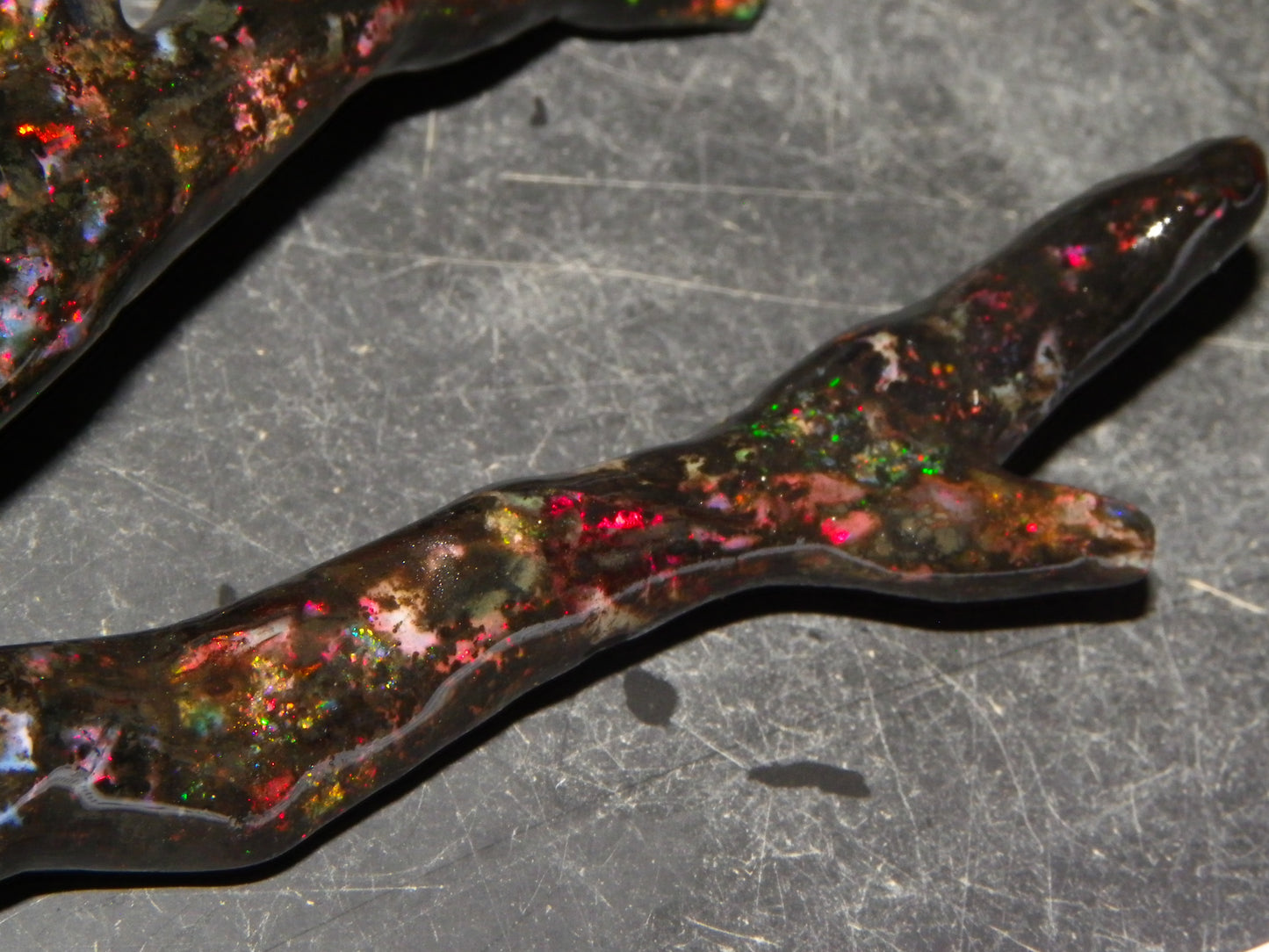 Nice Quality Polished Indonesian Branch/Fossil Opal Specimen 166cts Red Fires :)