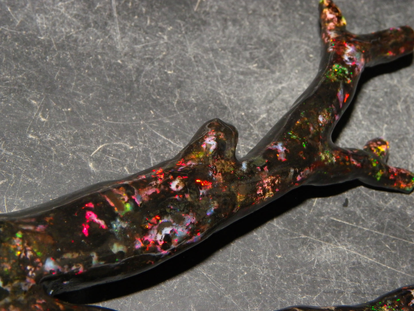 Nice Quality Polished Indonesian Branch/Fossil Opal Specimen 166cts Red Fires :)