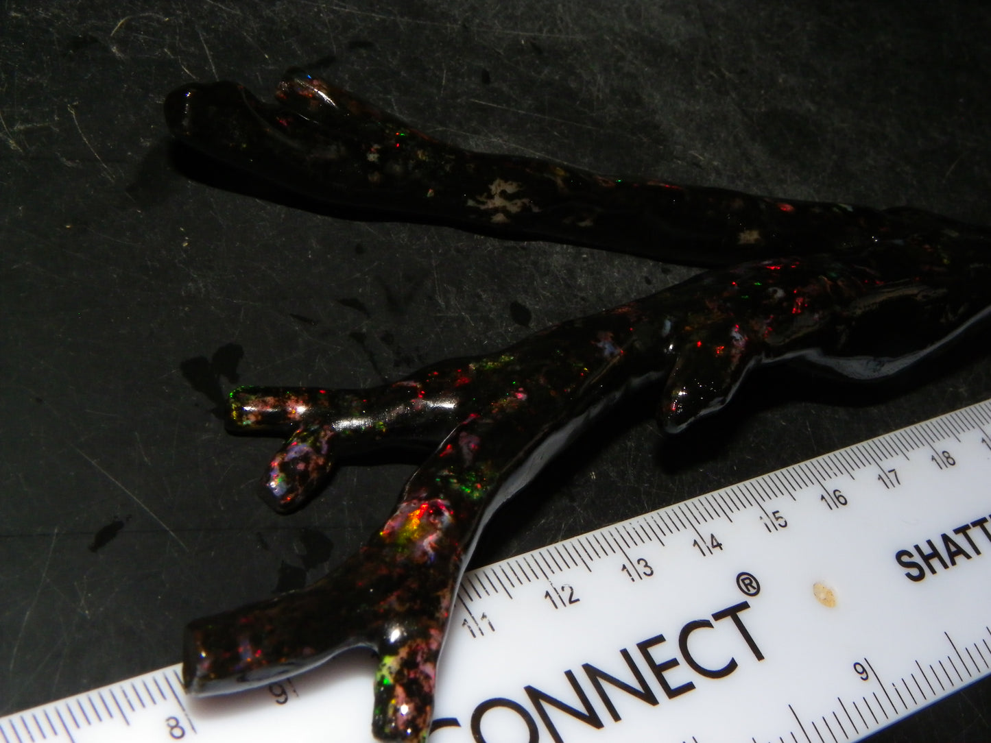 Nice Quality Polished Indonesian Branch/Fossil Opal Specimen 166cts Red Fires :)