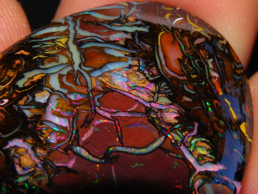 Quality Large Cut/Polished Koroit Opal Cab/Freeform 115.36cts Multicolour Fires and Veins