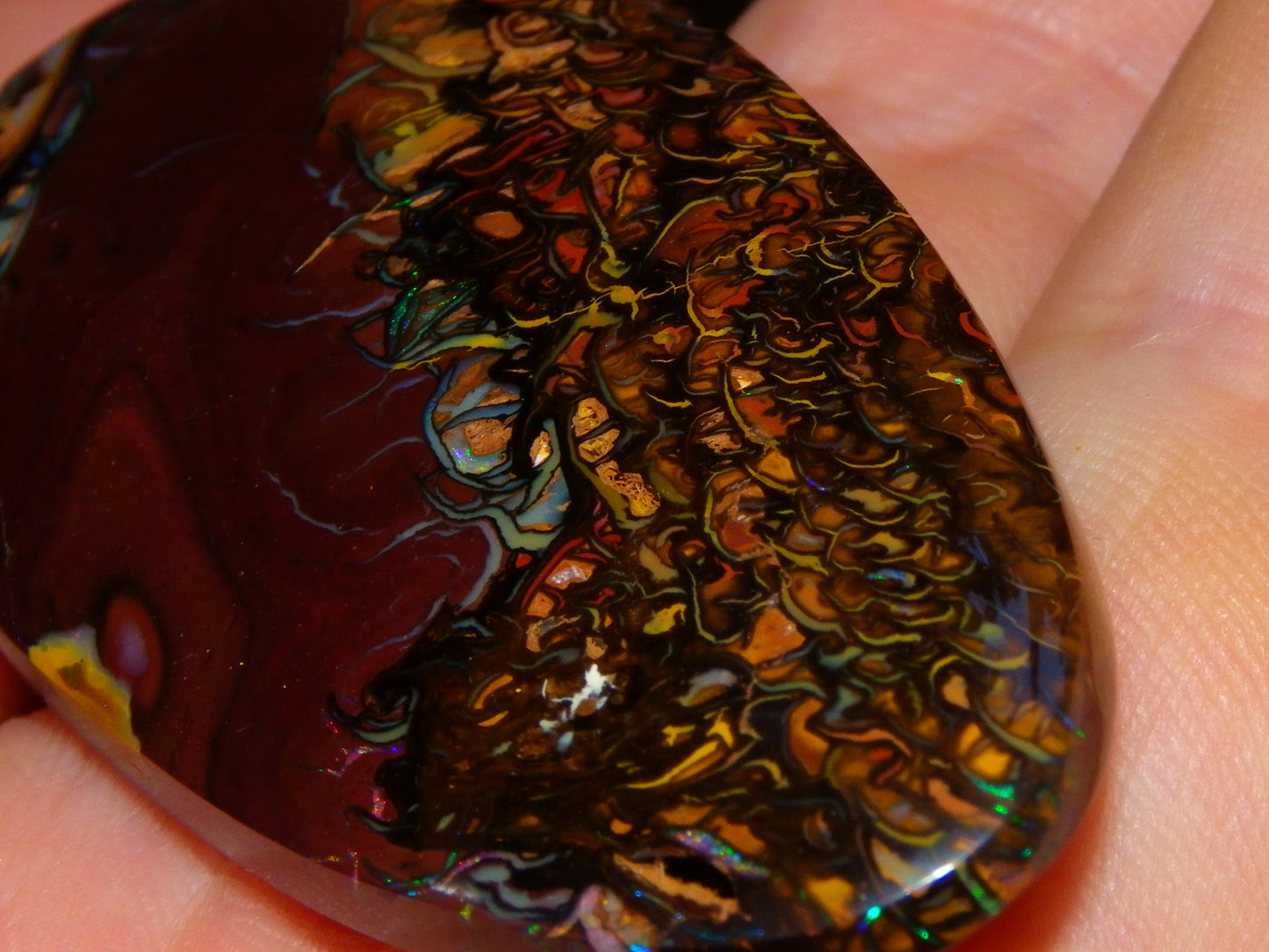 Quality Large Cut/Polished Koroit Opal Cab/Freeform 115.36cts Multicolour Fires and Veins