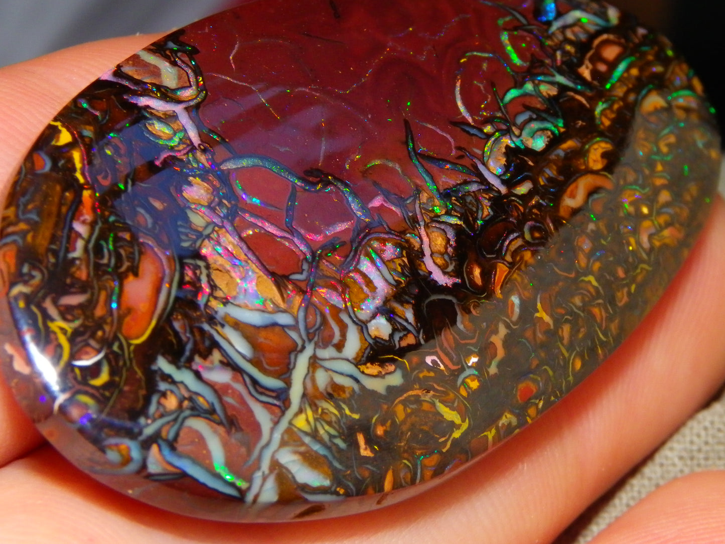 Quality Large Cut/Polished Koroit Opal Cab/Freeform 115.36cts Multicolour Fires and Veins
