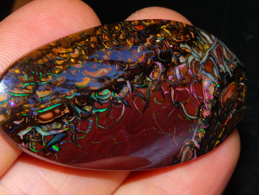 Quality Large Cut/Polished Koroit Opal Cab/Freeform 115.36cts Multicolour Fires and Veins