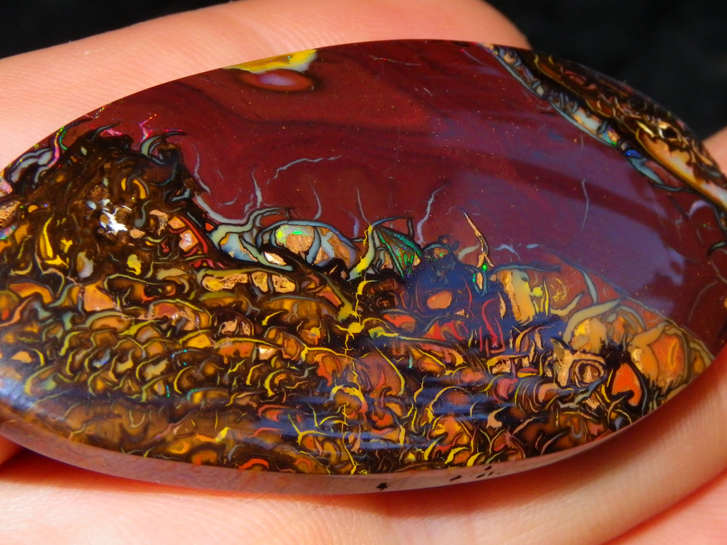 Quality Large Cut/Polished Koroit Opal Cab/Freeform 115.36cts Multicolour Fires and Veins