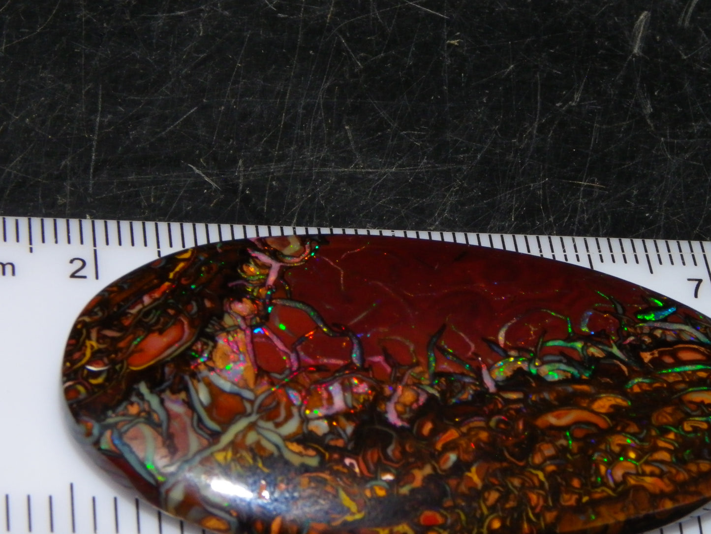 Quality Large Cut/Polished Koroit Opal Cab/Freeform 115.36cts Multicolour Fires and Veins