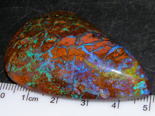 Large Koroit Opal Freeform/Cab 116.3cts Blue/Purple/Green Fires/Veins Queensland Australia