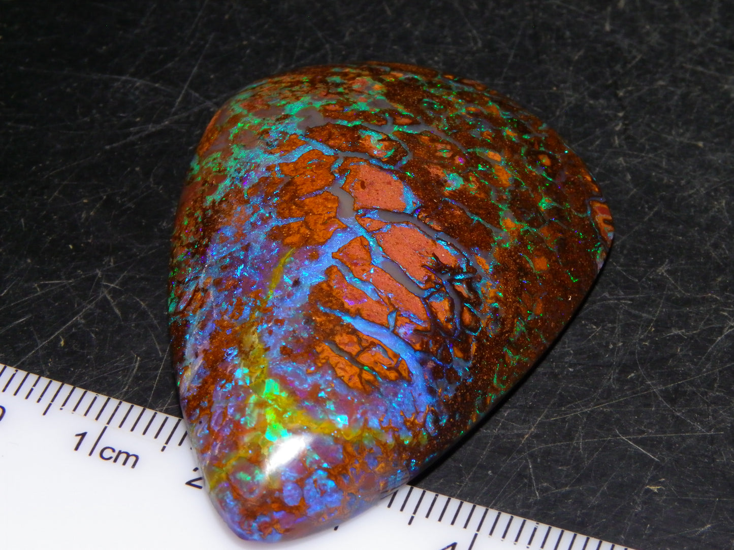 Large Koroit Opal Freeform/Cab 116.3cts Blue/Purple/Green Fires/Veins Queensland Australia