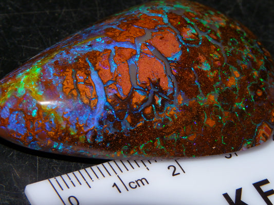Large Koroit Opal Freeform/Cab 116.3cts Blue/Purple/Green Fires/Veins Queensland Australia