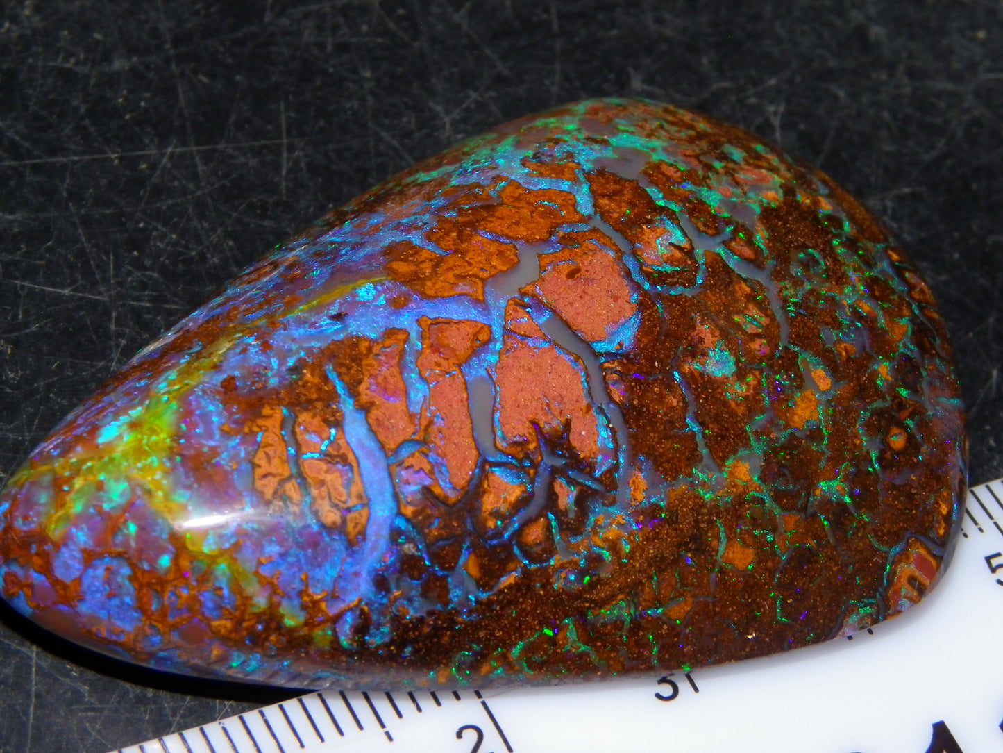 Large Koroit Opal Freeform/Cab 116.3cts Blue/Purple/Green Fires/Veins Queensland Australia