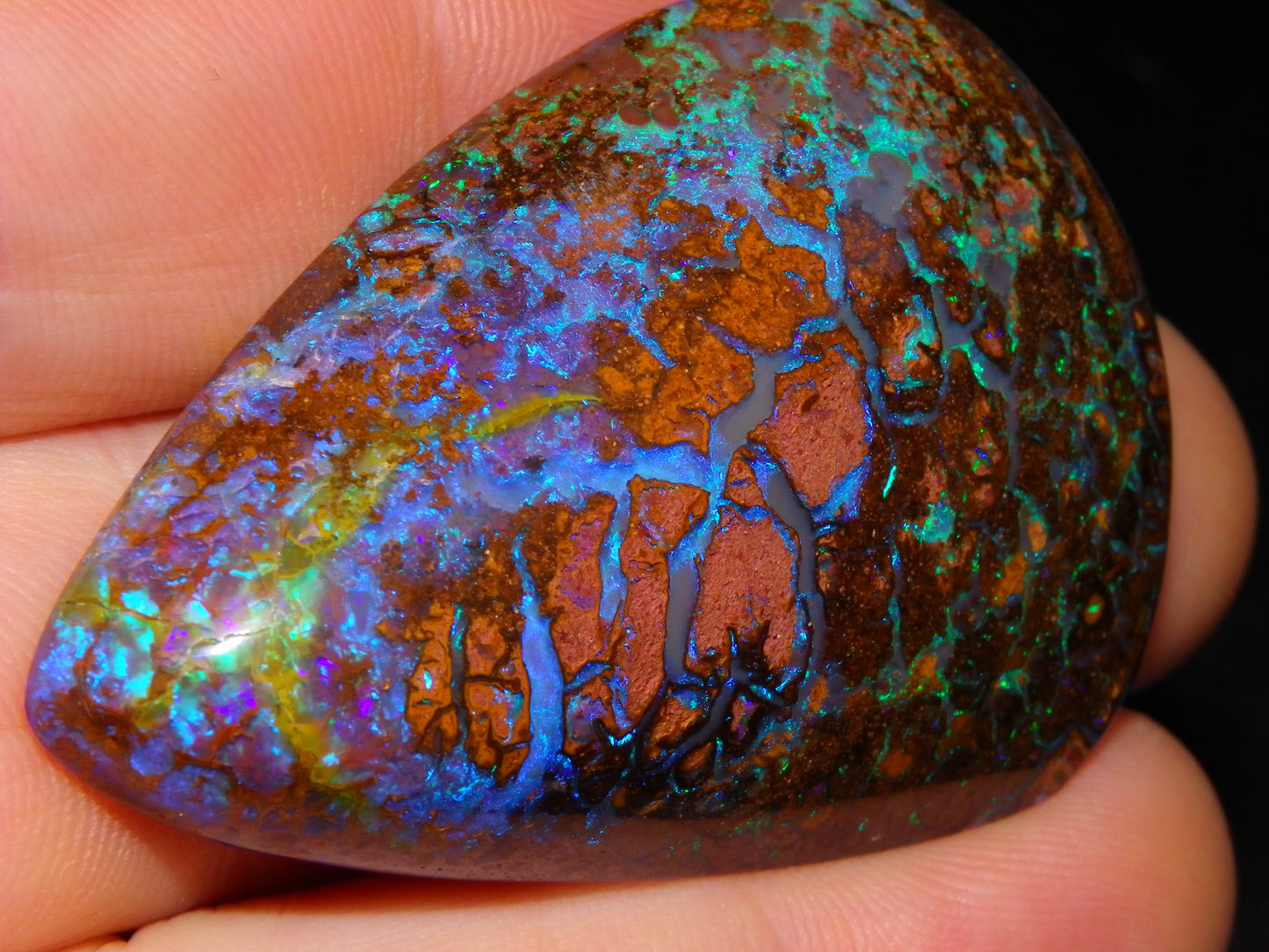 Large Koroit Opal Freeform/Cab 116.3cts Blue/Purple/Green Fires/Veins Queensland Australia