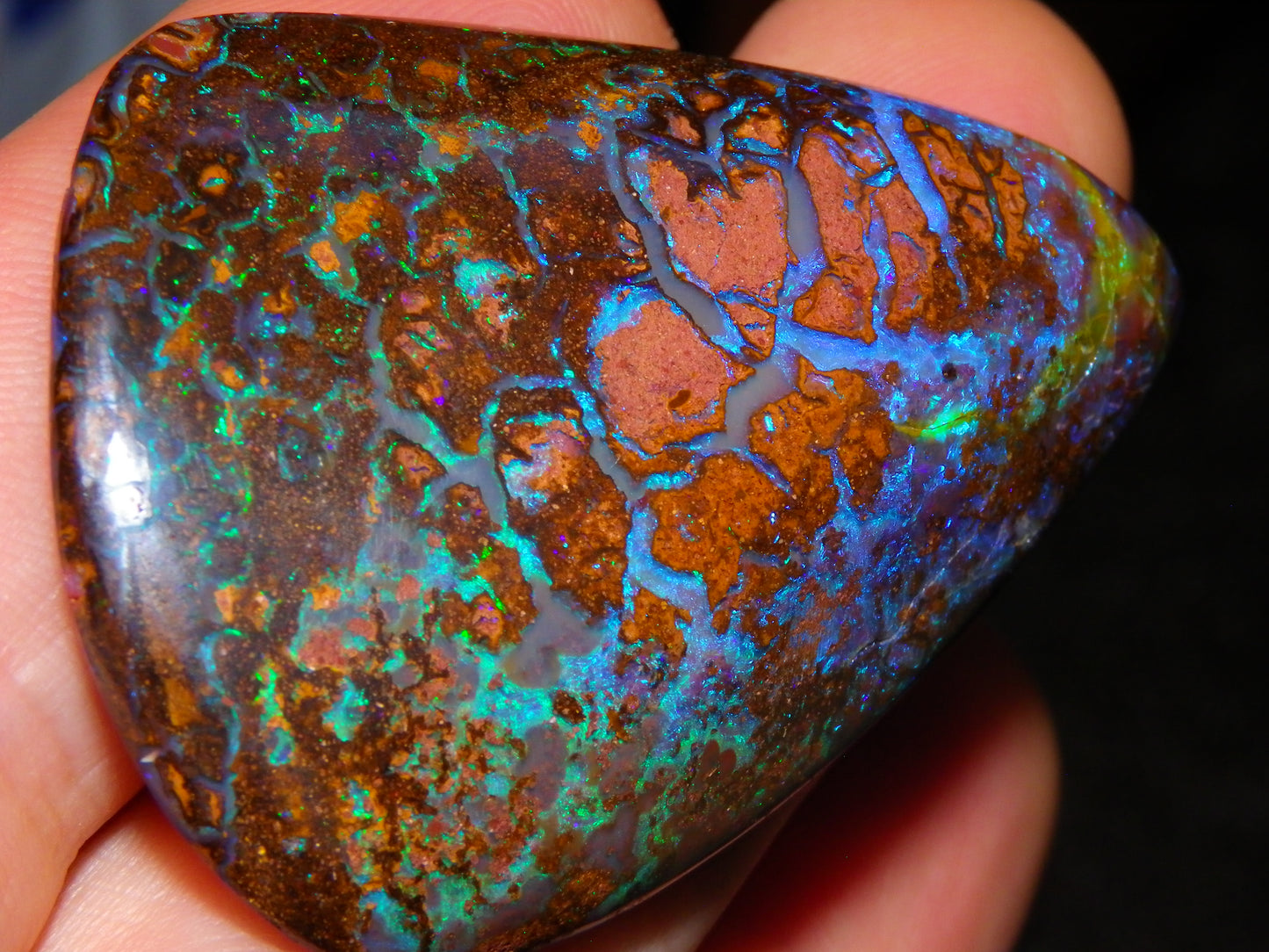 Large Koroit Opal Freeform/Cab 116.3cts Blue/Purple/Green Fires/Veins Queensland Australia