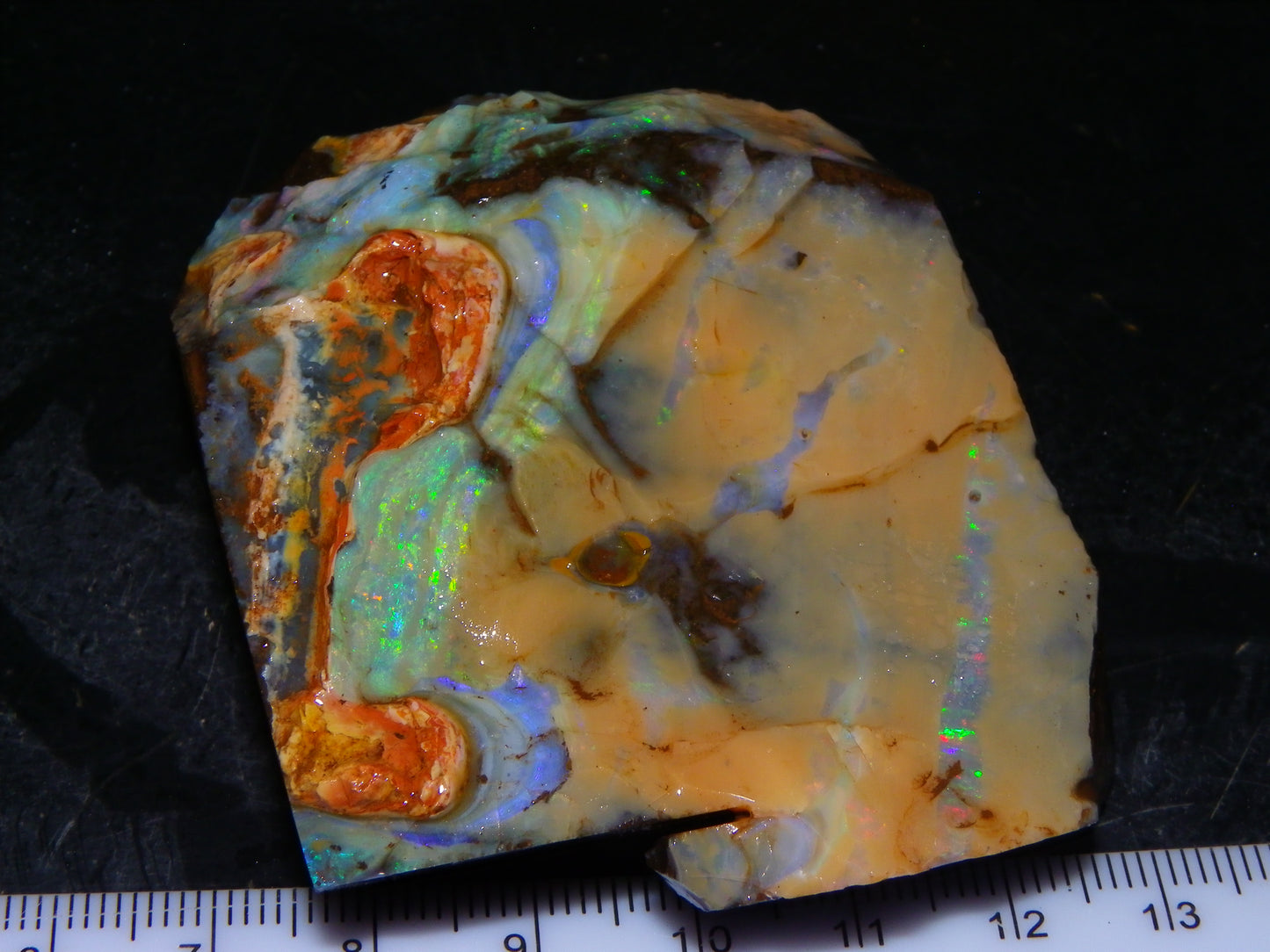 Nice Queensland Boulder Opal Rough Specimen 811cts Fires/Patterns Caramel Potch Winton