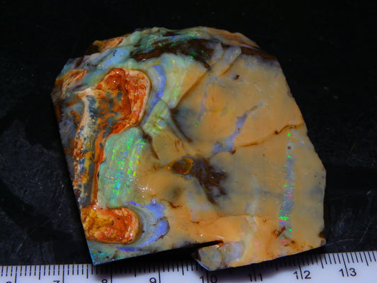 Nice Queensland Boulder Opal Rough Specimen 811cts Fires/Patterns Caramel Potch Winton