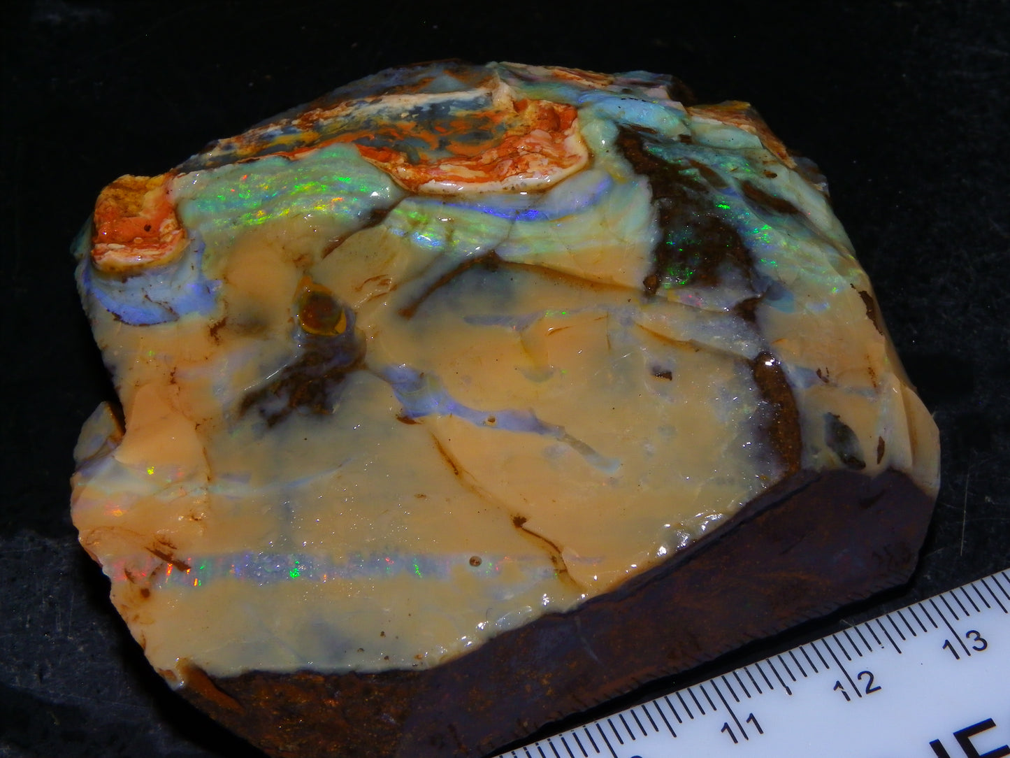 Nice Queensland Boulder Opal Rough Specimen 811cts Fires/Patterns Caramel Potch Winton