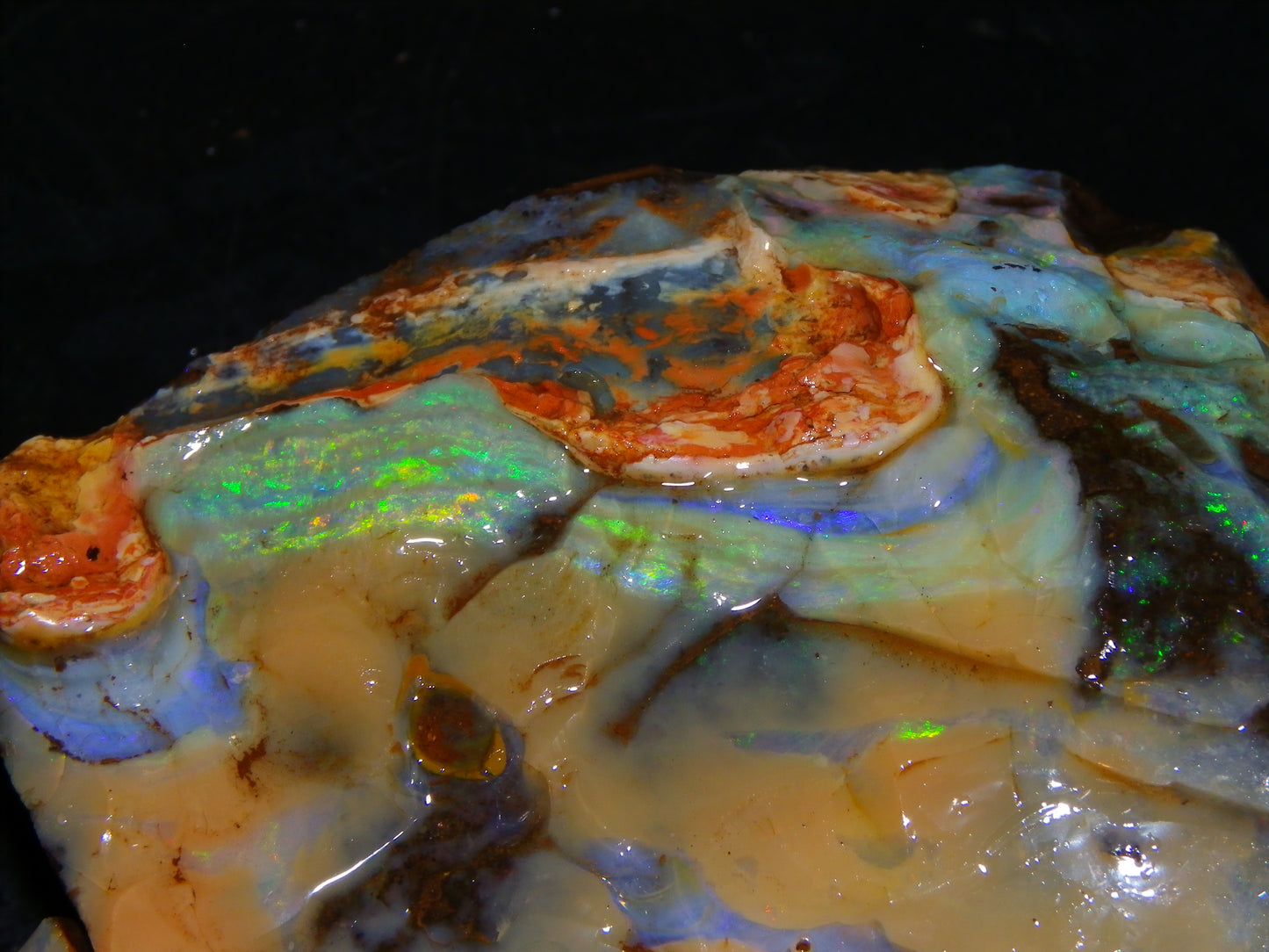 Nice Queensland Boulder Opal Rough Specimen 811cts Fires/Patterns Caramel Potch Winton