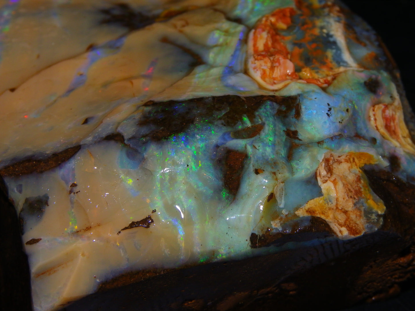 Nice Queensland Boulder Opal Rough Specimen 811cts Fires/Patterns Caramel Potch Winton
