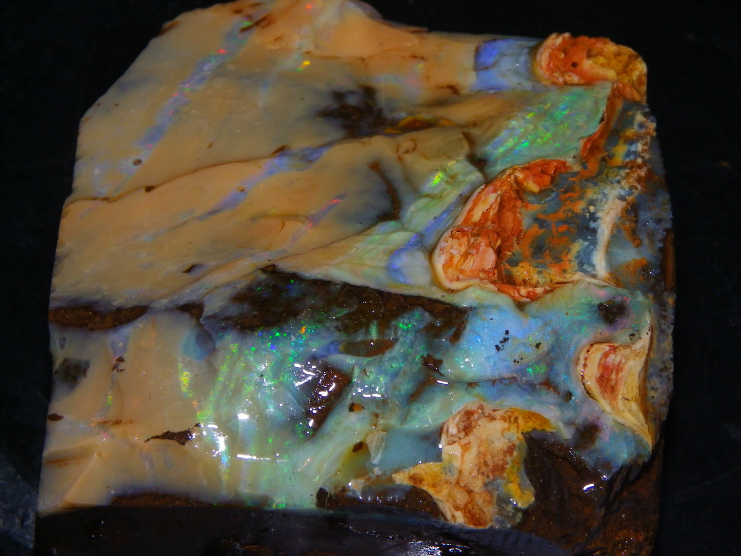 Nice Queensland Boulder Opal Rough Specimen 811cts Fires/Patterns Caramel Potch Winton