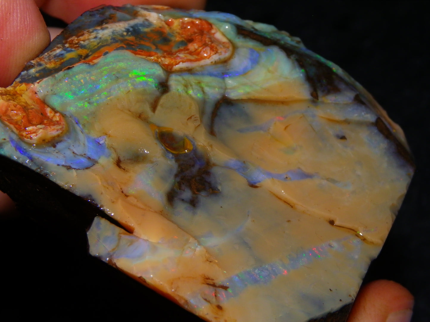 Nice Queensland Boulder Opal Rough Specimen 811cts Fires/Patterns Caramel Potch Winton