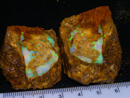 Nice Rough Pipe/Boulder Fossil Opal split 233cts Green/Blue/Pink/Gold Fires