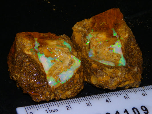 Nice Rough Pipe/Boulder Fossil Opal split 233cts Green/Blue/Pink/Gold Fires