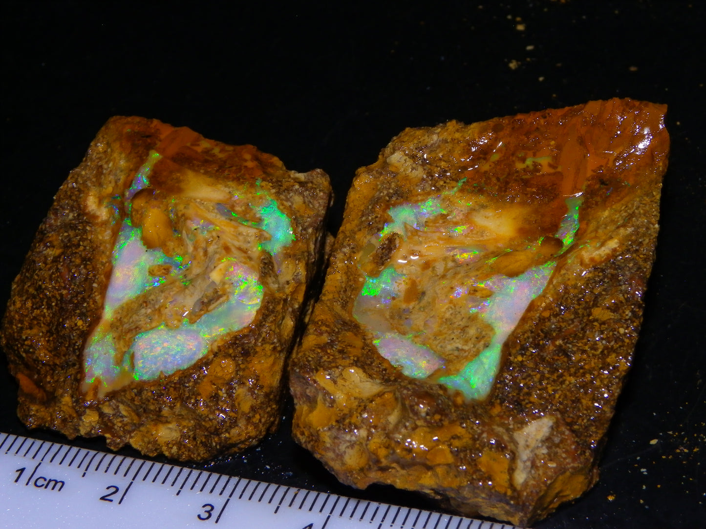 Nice Rough Pipe/Boulder Fossil Opal split 233cts Green/Blue/Pink/Gold Fires