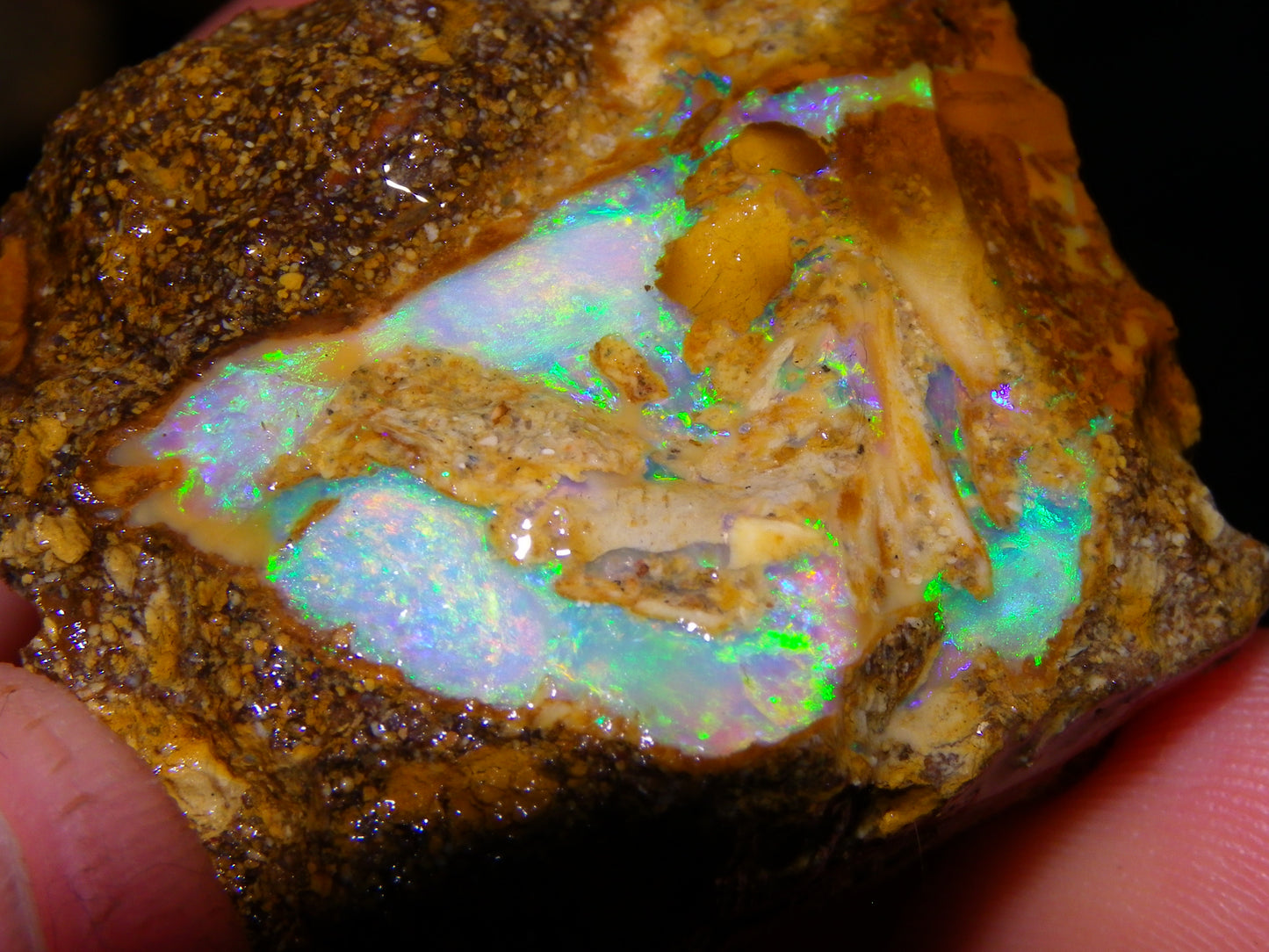 Nice Rough Pipe/Boulder Fossil Opal split 233cts Green/Blue/Pink/Gold Fires