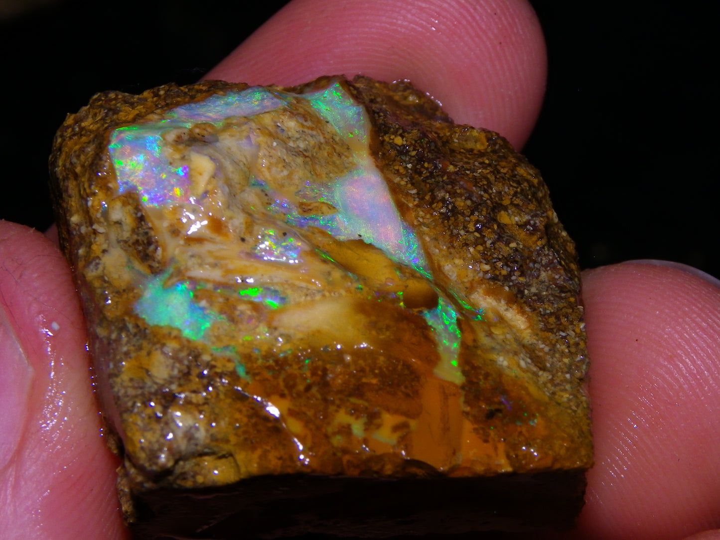 Nice Rough Pipe/Boulder Fossil Opal split 233cts Green/Blue/Pink/Gold Fires