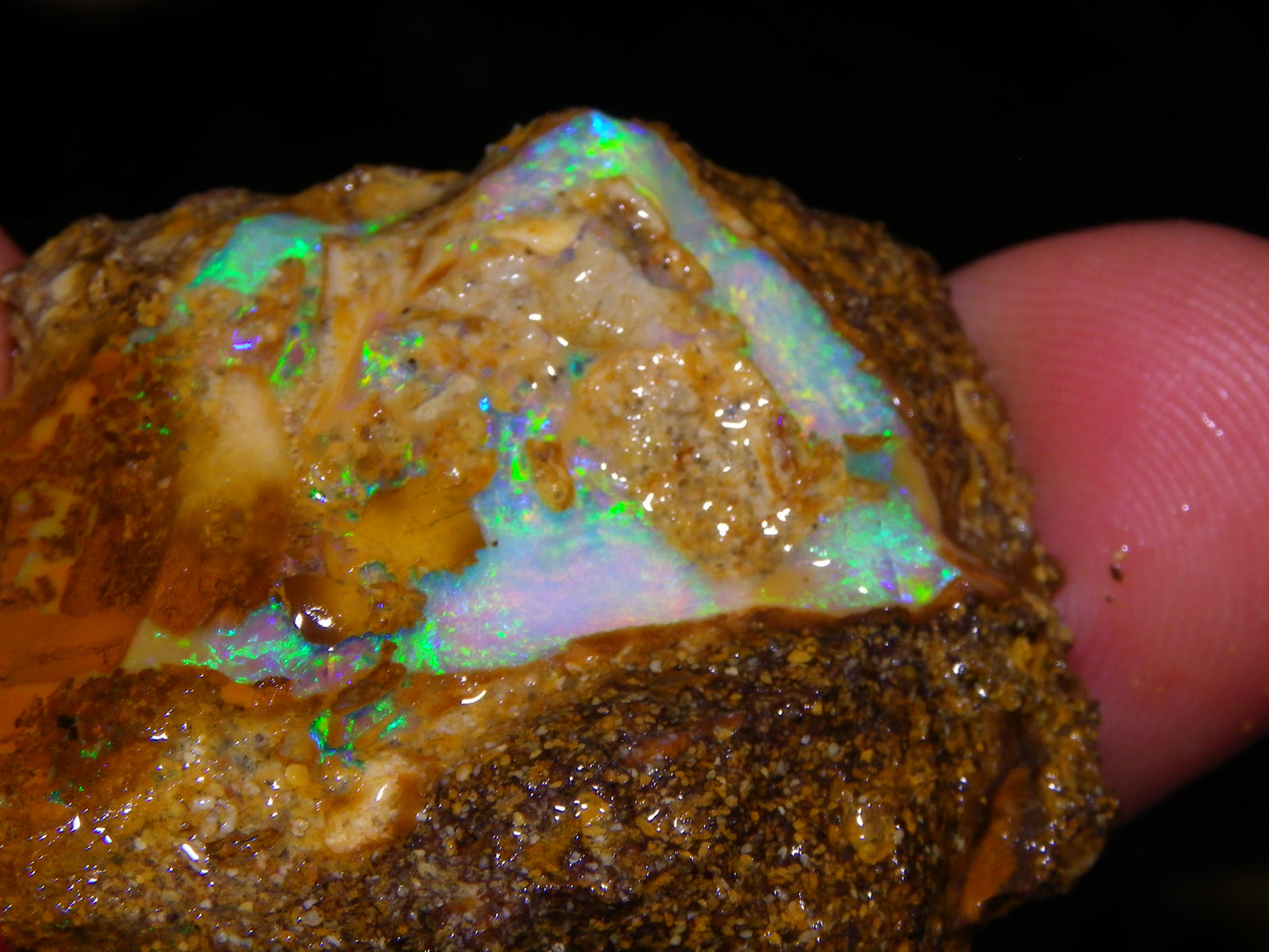Nice Rough Pipe/Boulder Fossil Opal split 233cts Green/Blue/Pink/Gold Fires