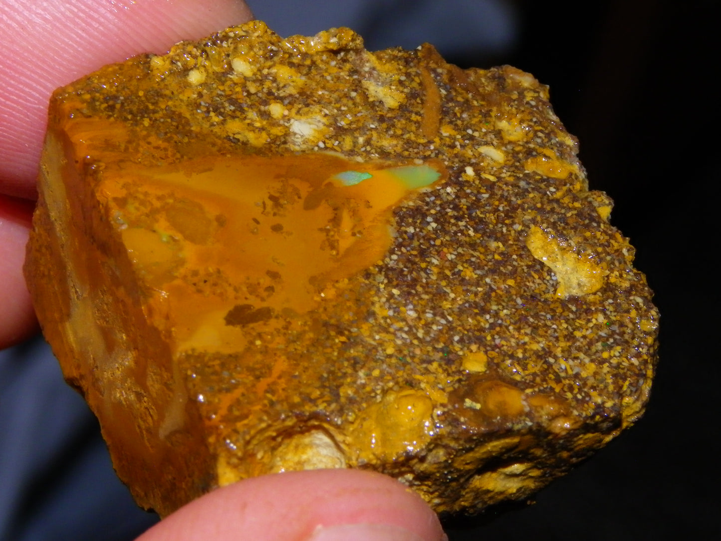Nice Rough Pipe/Boulder Fossil Opal split 233cts Green/Blue/Pink/Gold Fires