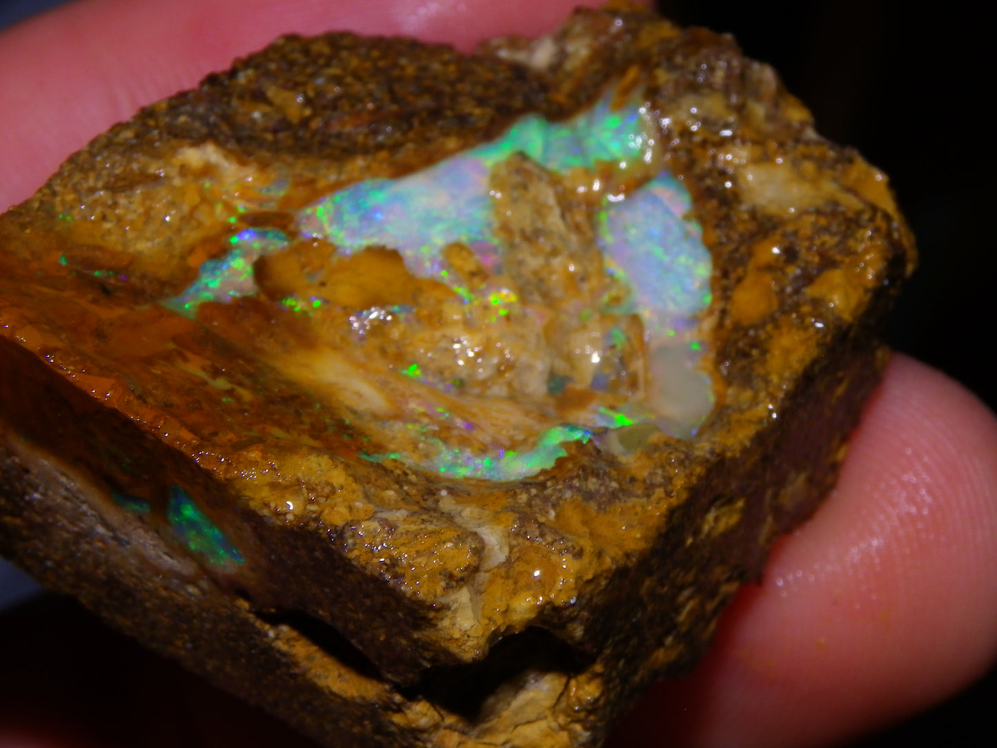 Nice Rough Pipe/Boulder Fossil Opal split 233cts Green/Blue/Pink/Gold Fires