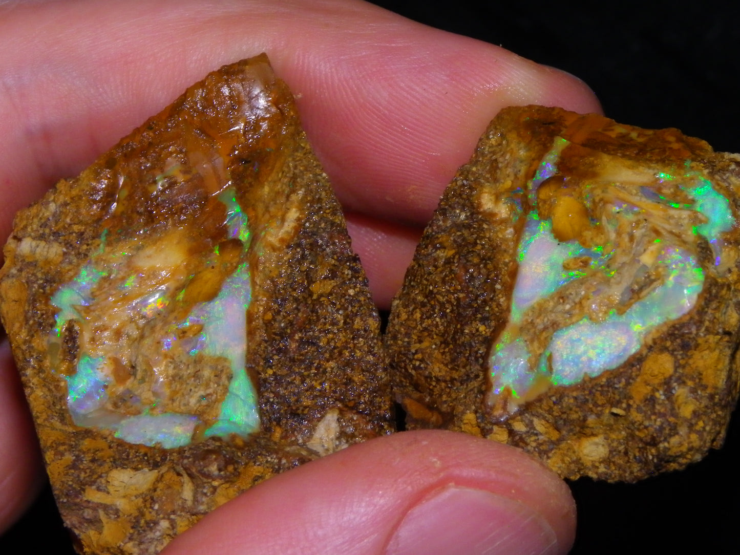 Nice Rough Pipe/Boulder Fossil Opal split 233cts Green/Blue/Pink/Gold Fires