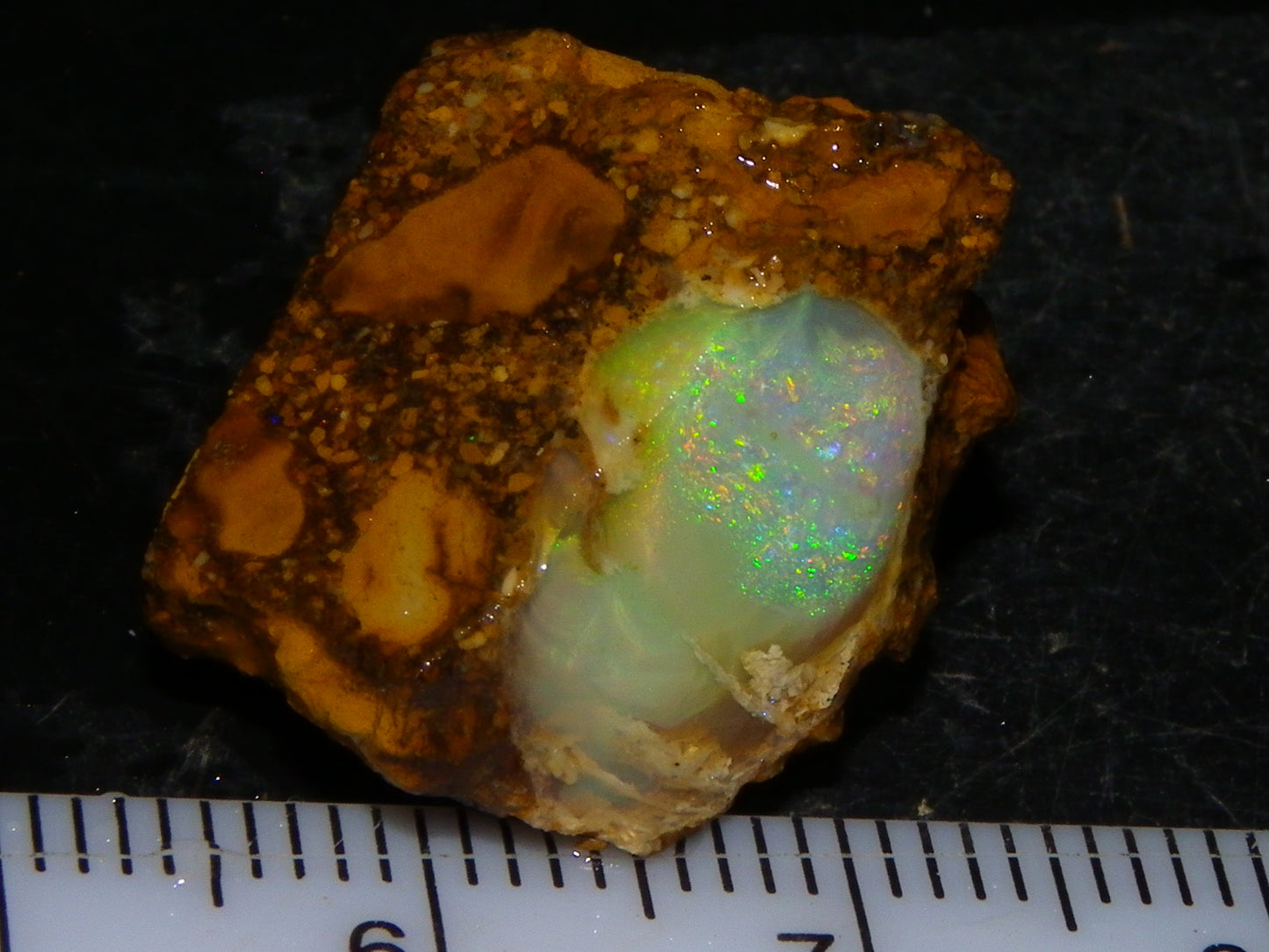 Nice Quality Split Pipe Opal Specimen Pair 92.5cts Queensland Opalton Multicolours