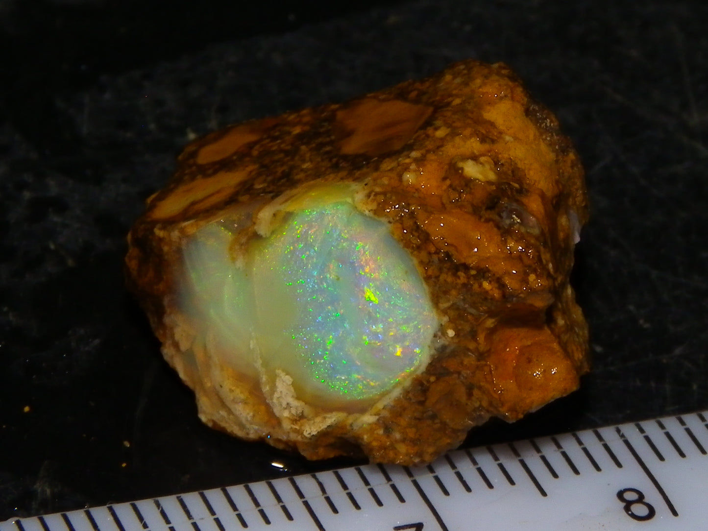 Nice Quality Split Pipe Opal Specimen Pair 92.5cts Queensland Opalton Multicolours