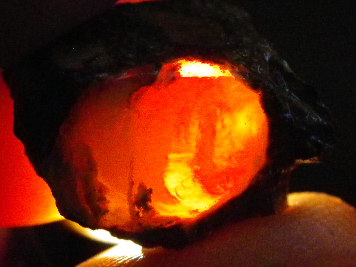 Nice Quality Split Pipe Opal Specimen Pair 92.5cts Queensland Opalton Multicolours