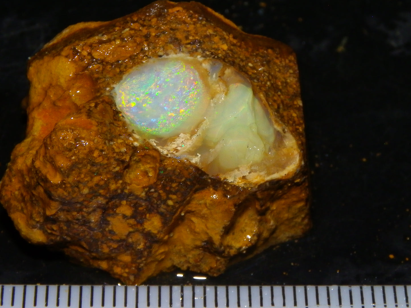 Nice Quality Split Pipe Opal Specimen Pair 92.5cts Queensland Opalton Multicolours