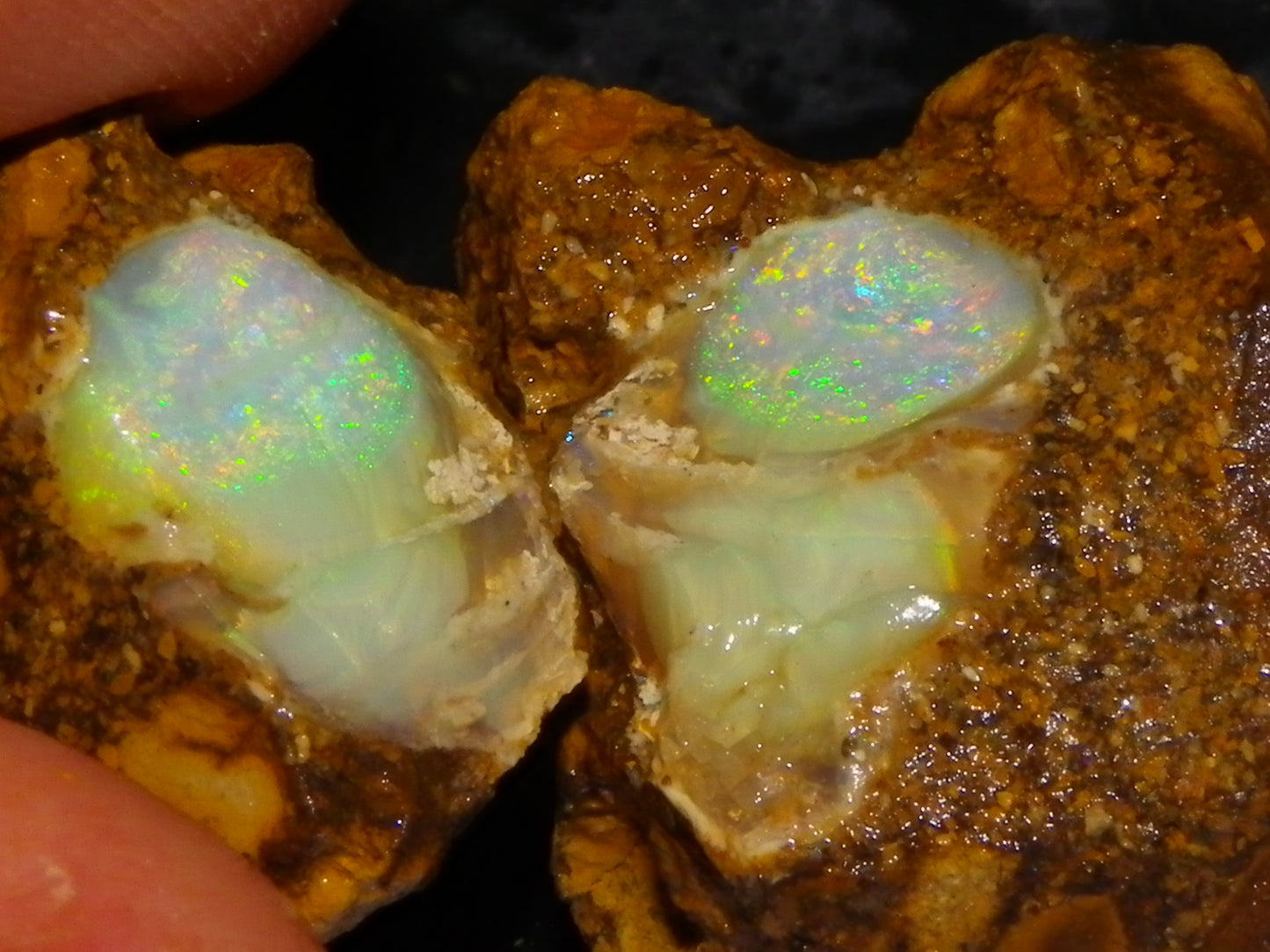 Nice Quality Split Pipe Opal Specimen Pair 92.5cts Queensland Opalton Multicolours