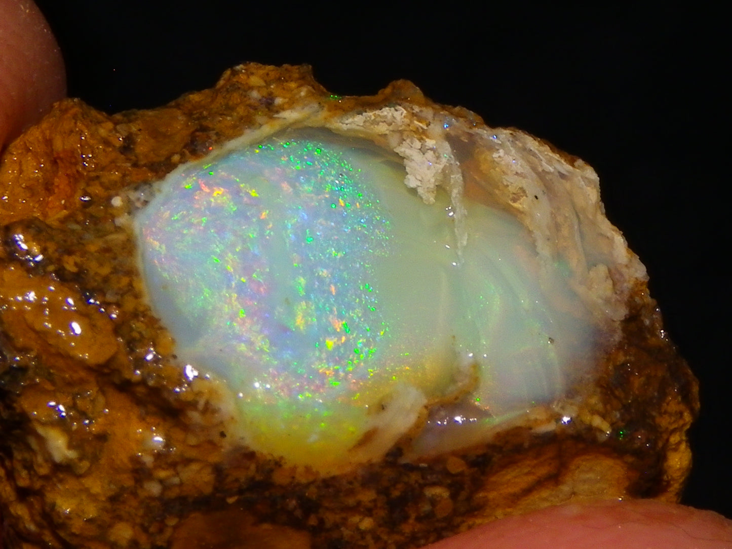 Nice Quality Split Pipe Opal Specimen Pair 92.5cts Queensland Opalton Multicolours