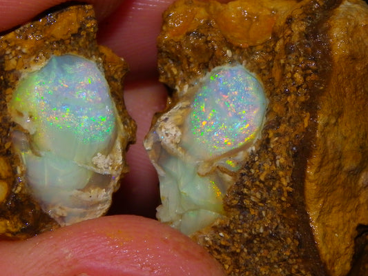 Nice Quality Split Pipe Opal Specimen Pair 92.5cts Queensland Opalton Multicolours
