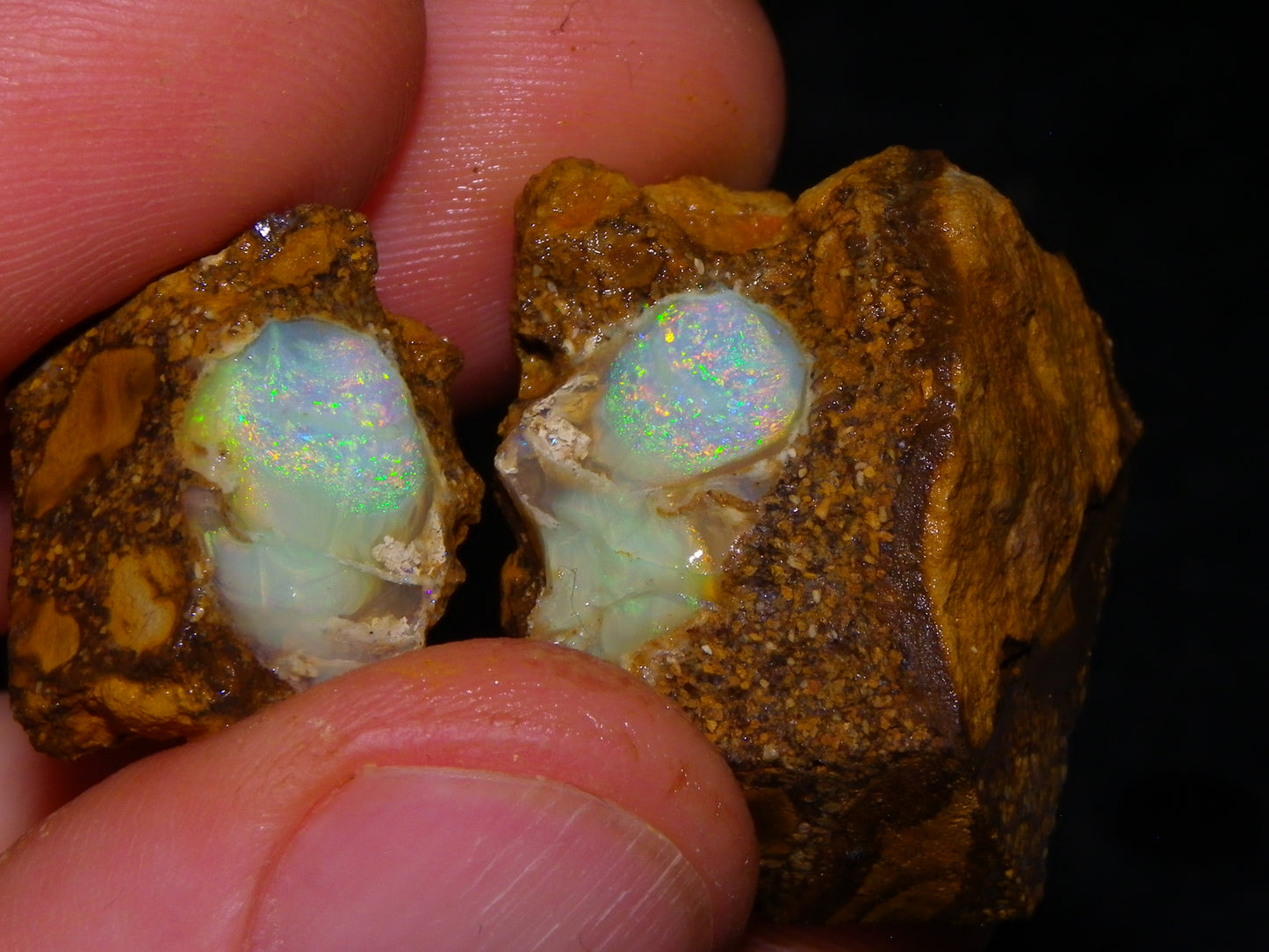 Nice Quality Split Pipe Opal Specimen Pair 92.5cts Queensland Opalton Multicolours