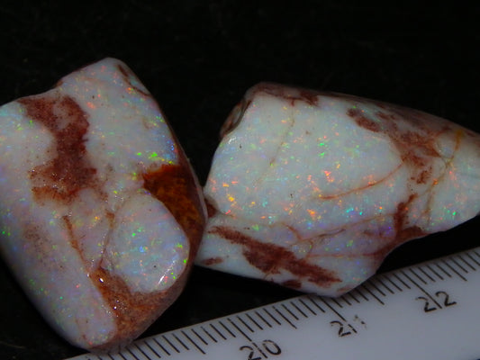 2 Nice Rubbed Coober Pedy Shell Opal Specimens 91cts Multicolour FIres Mussell Shells Australia